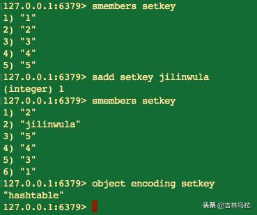 Redis集合类型使用说明