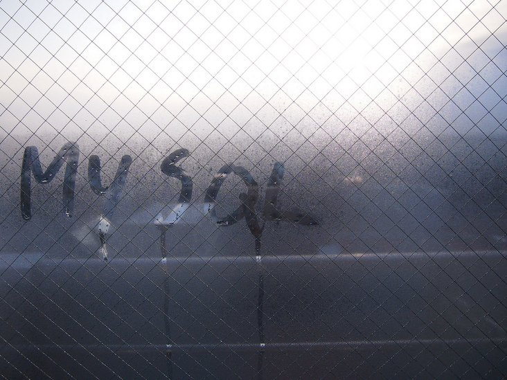 page_img_url page_img_url