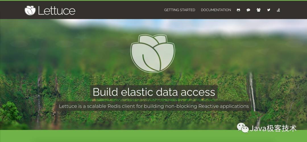 Redis实战之Lettuce的使用技巧详解