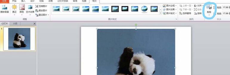 PPT图片裁剪成圆形图的教程方法