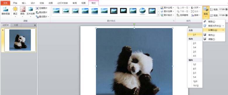 PPT图片裁剪成圆形图的教程方法