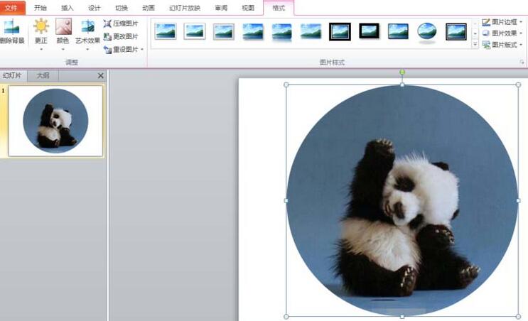 PPT图片裁剪成圆形图的教程方法