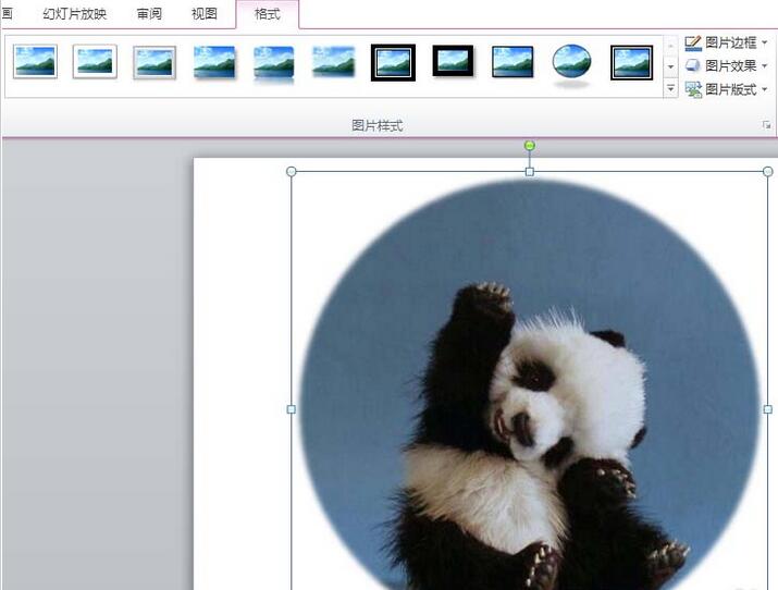 PPT图片裁剪成圆形图的教程方法