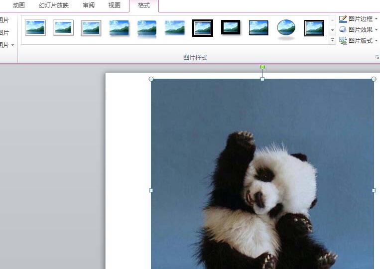 PPT图片裁剪成圆形图的教程方法