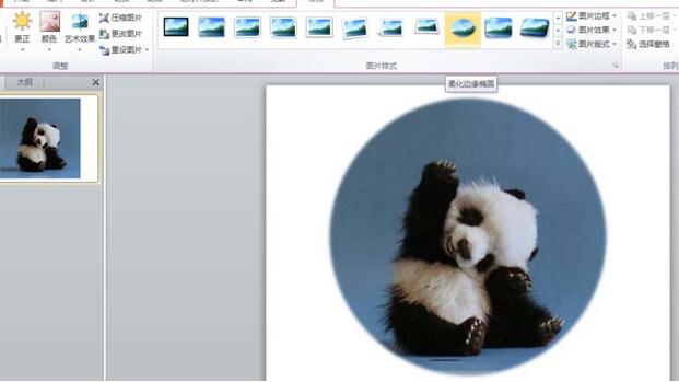 PPT图片裁剪成圆形图的教程方法