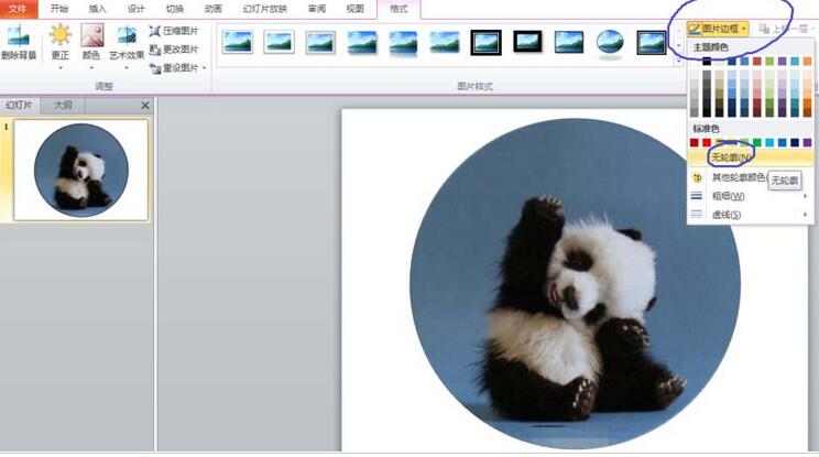 PPT图片裁剪成圆形图的教程方法