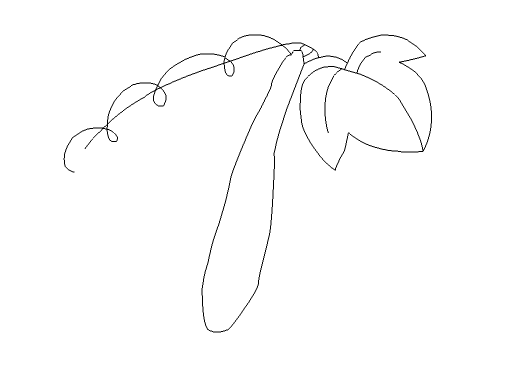 Flash绘制丝瓜图案的操作流程