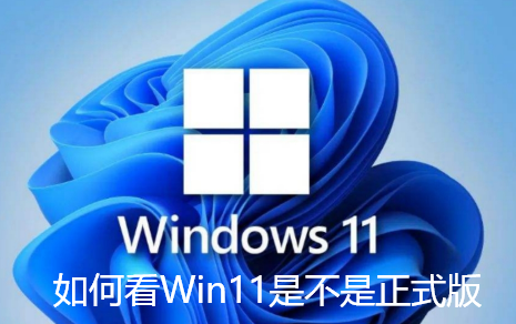 如何看Win11是不是正式版 如何看Win11是不是正式版
