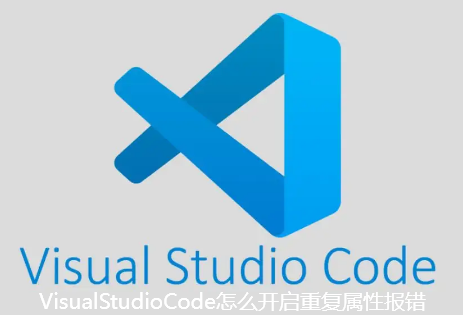 VisualStudioCode怎么开启重复属性报错-VSCode重复属性报错设置方法