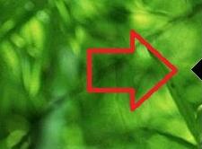 beoplayer中调整音量大小的操作过程