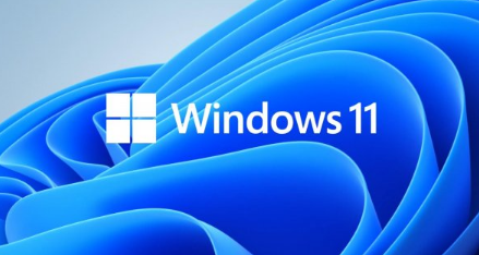 Win11笔记本摄像头打开是黑的怎么办-Win11笔记本摄像头打开是黑的解决办法
