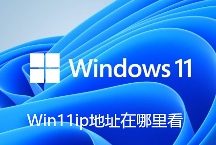 Win11Z���