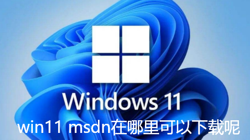win11 msdn在哪里可以下载呢- win11msdn下载教程分享