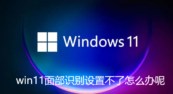 win11面部识别设置不了怎么办呢 win11面部识别设置不了怎么办呢