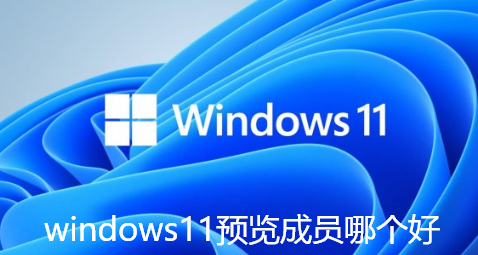 windows11预览成员哪个好-Win11预览体验成员设置选项分享