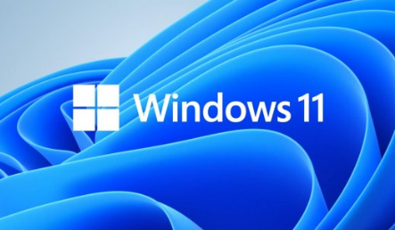 V24xMeWumuS9jeWKn+iDveeBsOiJsuaAjuS5iOWKng==