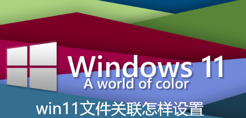 win11文件关联怎样设置-win11关联文件的步骤