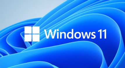 Win11系统如何限制宽带流量