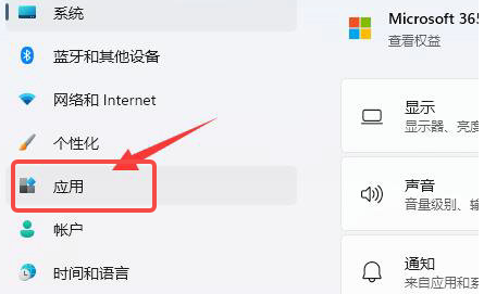Win11软件权限管理在哪查看 Win11软件权限管理在哪查看