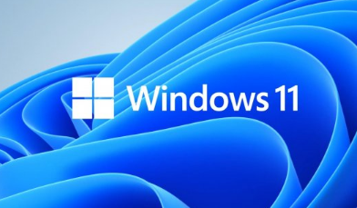 Win11软件权限管理在哪查看-Win11软件权限管理查看步骤