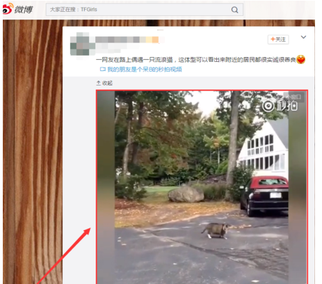 谷歌浏览器怎么下载视频