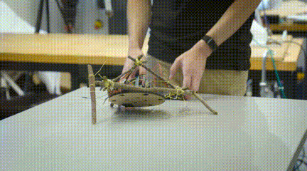 活久见！捡几根树枝就能做机器人…会走路能抓握，未来还可应用于医疗康复