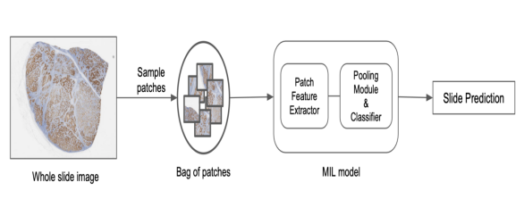 PathAI利用机器学习推动药物开发