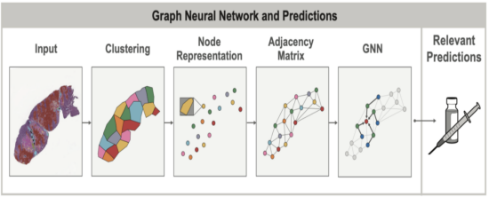 PathAI利用机器学习推动药物开发