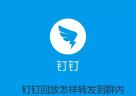 钉钉回放怎样转发到群内