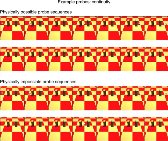 让AI像婴儿一样思考！DeepMind“柏拉图”模型登Nature子刊
