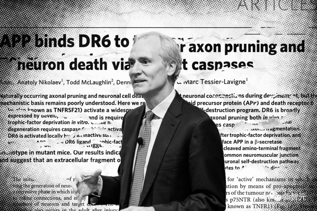 斯坦福校长学术不端指控再升级！校报万字长文质疑造假，校长怒发全校邮件自证清白