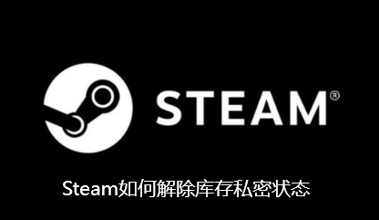 Steam如何解除库存私密状态-Steam解除库存私密状态的步骤