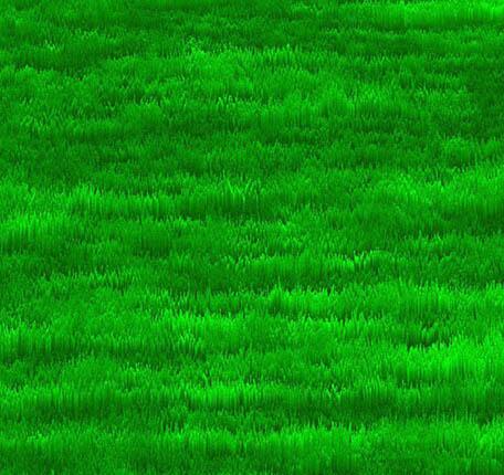 photoshop怎样制作草地平面俯视图效果 制作草地平面俯视图效果的详细步骤截图