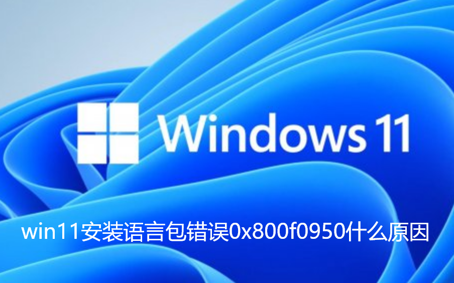 win11安装语言包错误0x800f0950什么原因