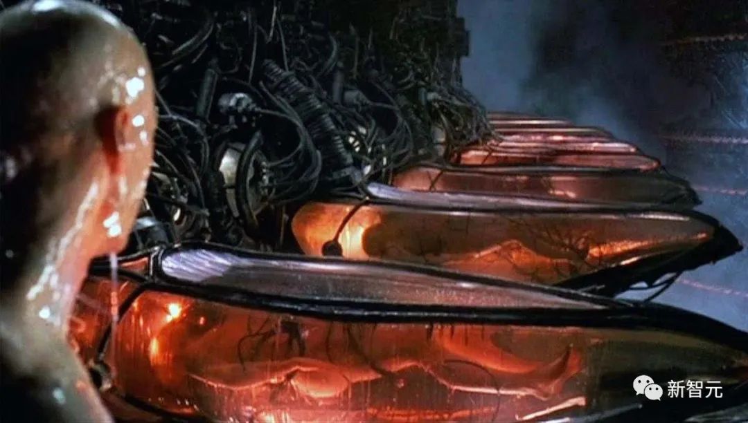 世界首次用AI成功克隆猪！南开大学做到了