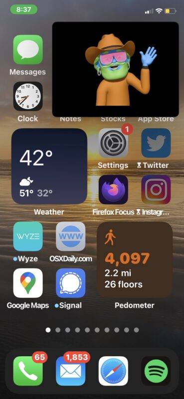 zoom-picture-in-picture-mode-iphone-2-369x800-1
