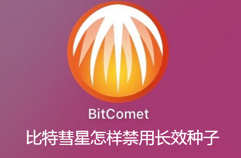 比特彗星怎样禁用长效种子-比特彗星禁用长效种子的技巧