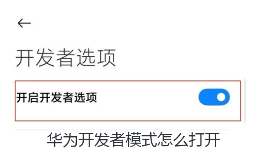 华为开发者模式怎么打开
