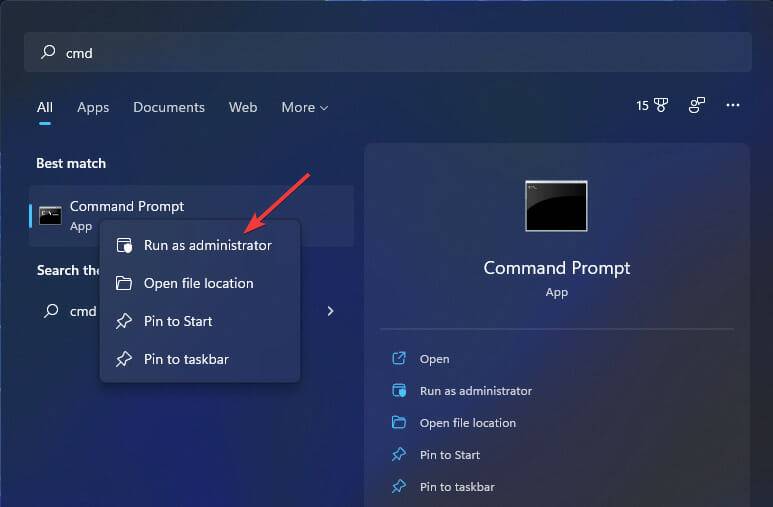 the-run-as-adminstrator-option