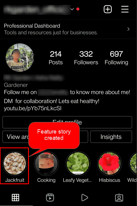 如何在 Instagram 上添加精选故事