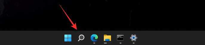 如何在 Windows 11 中搜索 [4 种解释方法]