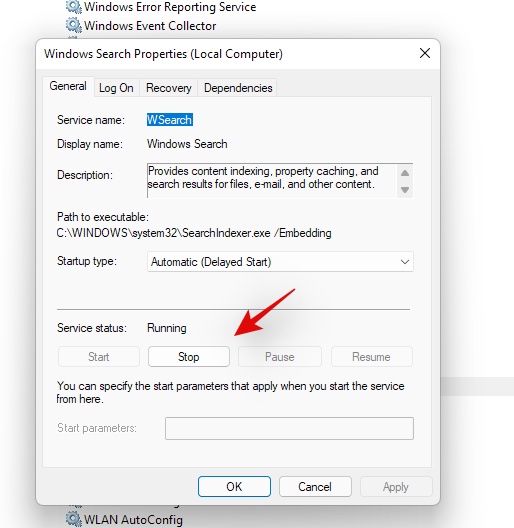 如何在 Windows 11 中搜索 [4 种解释方法]