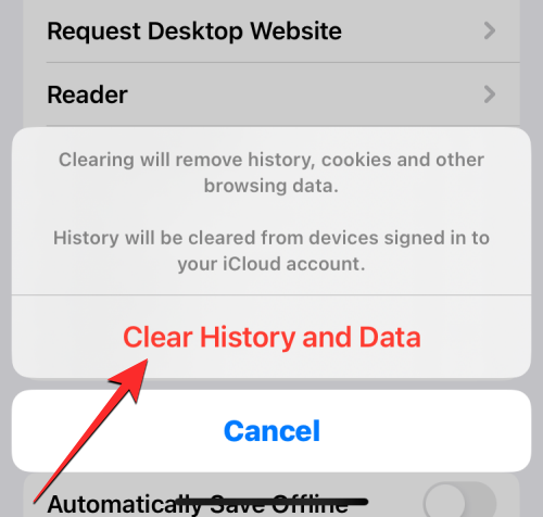 delete-cookies-on-iphone-16-a