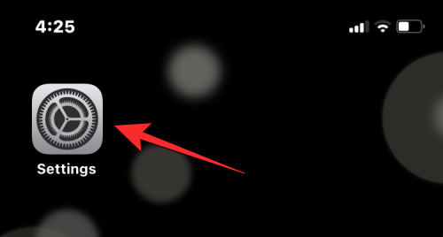 删除 iPhone 上的 cookie：分步教程