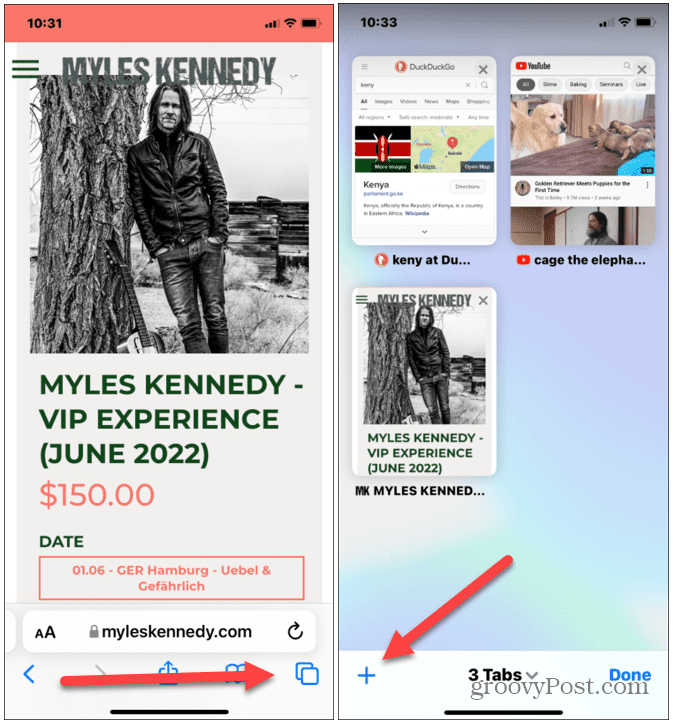 如何在 iPhone 或 iPad 上为 Safari 添加背景