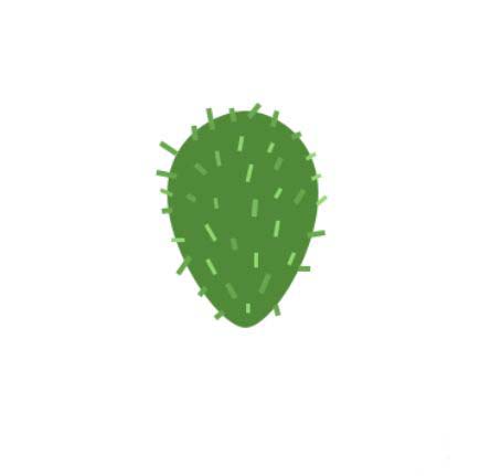 ps怎么手绘仙人掌矢量图?ps画卡通仙人掌插画的技巧截图