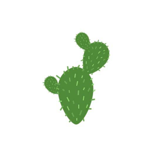 ps怎么手绘仙人掌矢量图?ps画卡通仙人掌插画的技巧截图