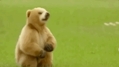 一句话就能魔改视频主角，谷歌新「AI导演」惊呆网友：这画质也太赞了