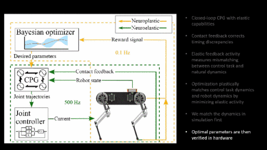 机器狗一小时就能学会走路？模仿动物本能，研究已登Nature子刊