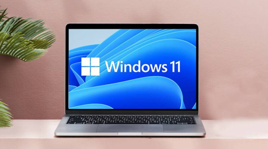 w11